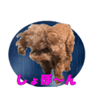 もあずく2017‐4（個別スタンプ：37）