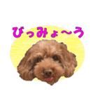 もあずく2017‐4（個別スタンプ：38）