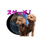 もあずく2017‐4（個別スタンプ：40）