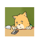 J the FOX , K the HUSKY（個別スタンプ：17）