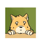 J the FOX , K the HUSKY（個別スタンプ：18）