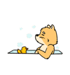 J the FOX , K the HUSKY（個別スタンプ：40）