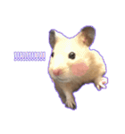 yogurt hamster~~~~（個別スタンプ：2）