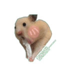 yogurt hamster~~~~（個別スタンプ：4）