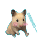 yogurt hamster~~~~（個別スタンプ：5）