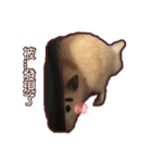 yogurt hamster~~~~（個別スタンプ：9）