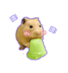 yogurt hamster~~~~（個別スタンプ：14）