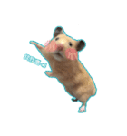 yogurt hamster~~~~（個別スタンプ：18）