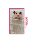 yogurt hamster~~~~（個別スタンプ：21）