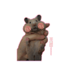 yogurt hamster~~~~（個別スタンプ：22）