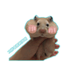 yogurt hamster~~~~（個別スタンプ：24）