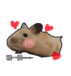 yogurt hamster~~~~（個別スタンプ：30）