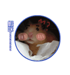 yogurt hamster~~~~（個別スタンプ：31）