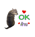 P' TO DookDik（個別スタンプ：3）