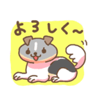 上原家の犬（個別スタンプ：27）