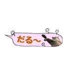 癒し猫**実写** 夏Ver（個別スタンプ：2）