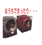 DecoraMeowスタッフネコスタンプ（個別スタンプ：11）