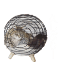 DecoraMeowスタッフネコスタンプ（個別スタンプ：15）