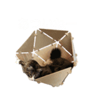 DecoraMeowスタッフネコスタンプ（個別スタンプ：16）