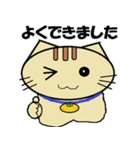 ミカン猫（個別スタンプ：5）