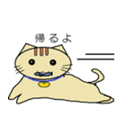 ミカン猫（個別スタンプ：14）