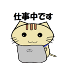 ミカン猫（個別スタンプ：23）