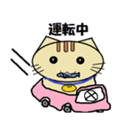 ミカン猫（個別スタンプ：30）