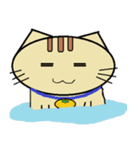 ミカン猫（個別スタンプ：33）