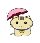 ミカン猫（個別スタンプ：40）