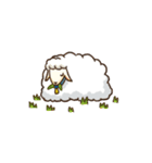miss. Cheer ＆ her sheep（個別スタンプ：19）