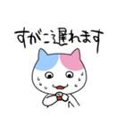 すがこさん専用お名前スタンプ（個別スタンプ：12）