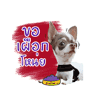 Salim the Funny Dog（個別スタンプ：4）