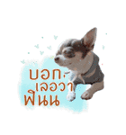 Salim the Funny Dog（個別スタンプ：8）