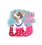 Salim the Funny Dog（個別スタンプ：12）