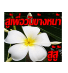 Plumeria of happiness cheer in factory（個別スタンプ：27）