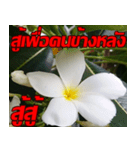 Plumeria of happiness cheer in factory（個別スタンプ：28）