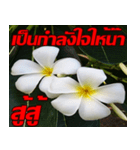 Plumeria of happiness cheer in factory（個別スタンプ：29）