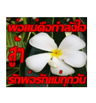 Plumeria of happiness cheer in factory（個別スタンプ：31）