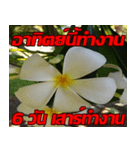 Plumeria of happiness cheer in factory（個別スタンプ：39）