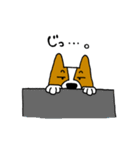 犬と男と時々おじいさん（個別スタンプ：39）