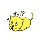 MUU家の猫「プリマ」（個別スタンプ：1）