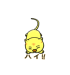 MUU家の猫「プリマ」（個別スタンプ：5）