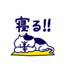 まぬけねこさん（個別スタンプ：34）