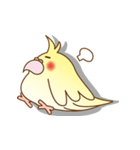 Chatty bird（個別スタンプ：36）