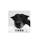 MARS-A DOG（個別スタンプ：5）