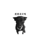 MARS-A DOG（個別スタンプ：7）