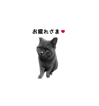 アゲ太郎のスタンプ（個別スタンプ：1）