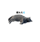 アゲ太郎のスタンプ（個別スタンプ：2）