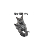 アゲ太郎のスタンプ（個別スタンプ：6）