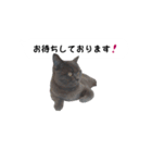 アゲ太郎のスタンプ（個別スタンプ：9）